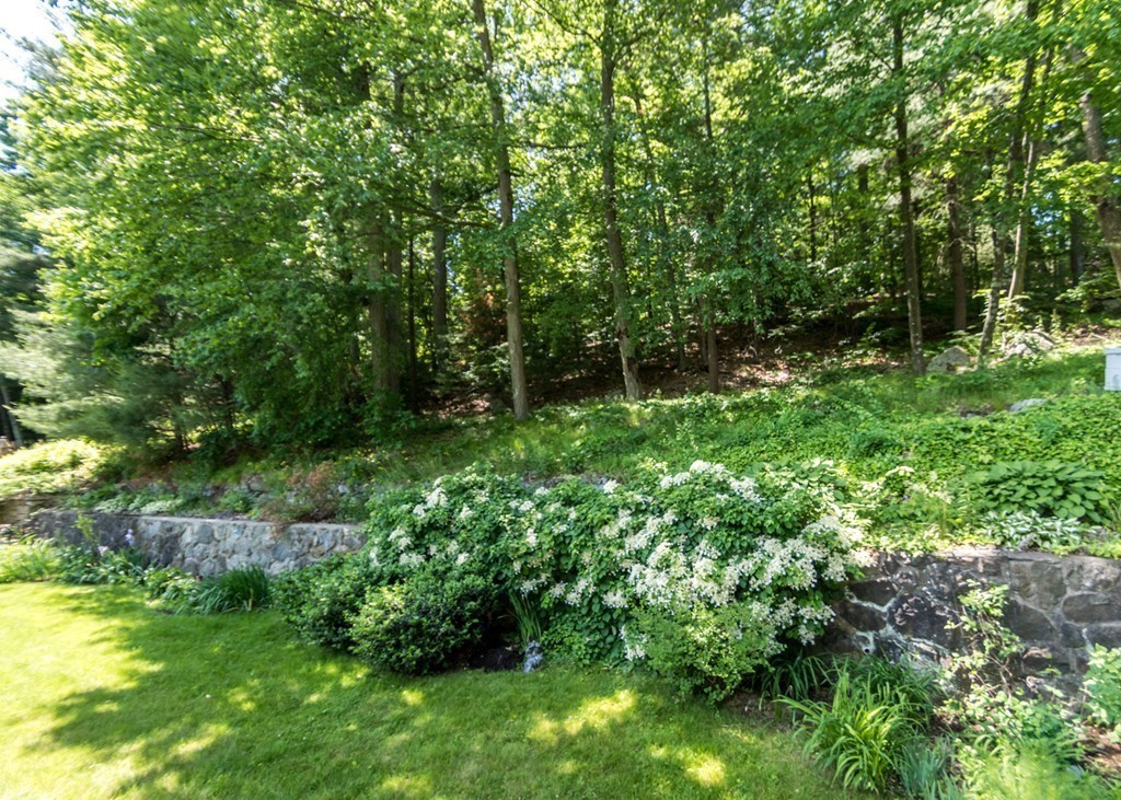 166 Totten Pond Road Waltham, MA 02451 - Photo 26 of 29 a view of lush green forest
