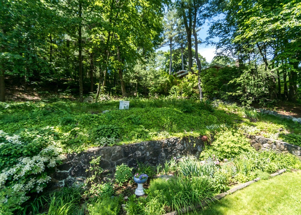 166 Totten Pond Road Waltham, MA 02451 - Photo 27 of 29 a view of a lush green forest