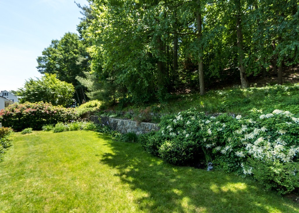 166 Totten Pond Road Waltham, MA 02451 - Photo 28 of 29 a view of backyard with plants and large trees