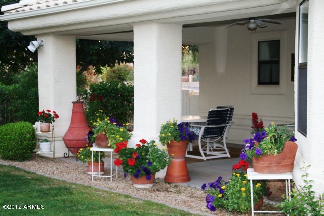 19025 East Alondra Way Rio Verde, AZ 85263 - Photo 22 of 25 Back Yard
