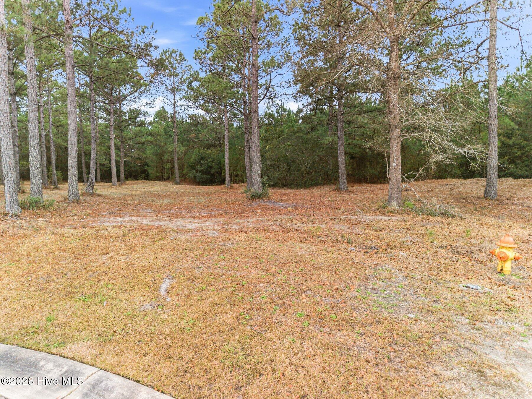 1074 Tinton Point Southwest Sunset Beach, NC 28468 - Photo 5 of 15 011_1074_tinton_point-11_919