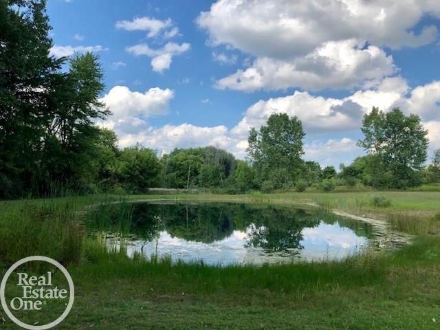 8390 Arendt Road Yale, MI 48097 - Photo 41 of 53 31391360-40.JPG