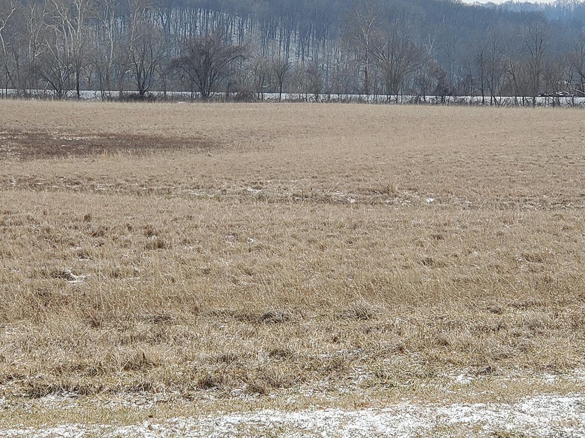 975 Vigo Road Chillicothe, OH 45601 - Photo 35 of 42 Gallery Image 35