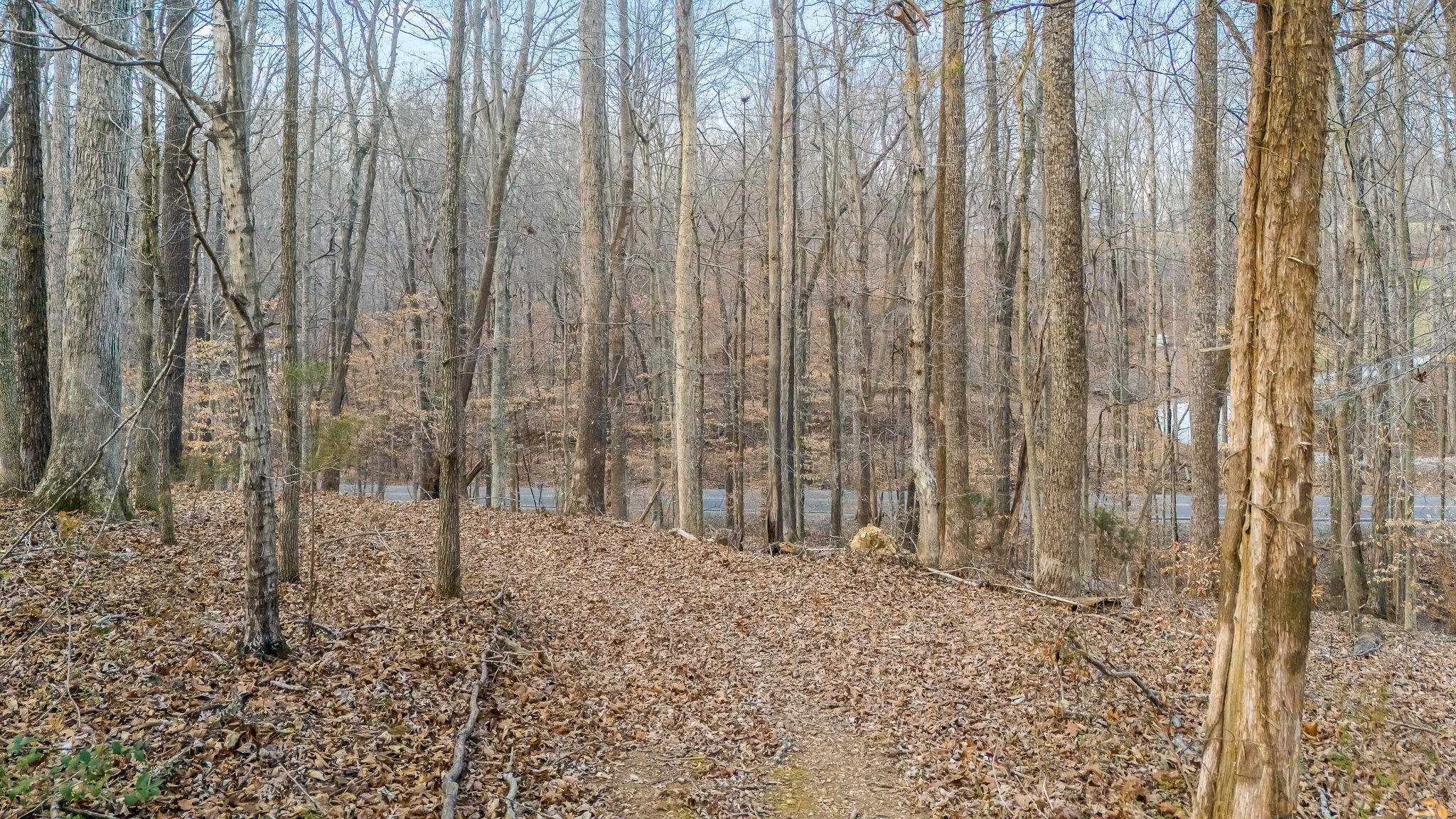 745 Union Ridge Road Wartrace, TN 37183 - Photo 77 of 78