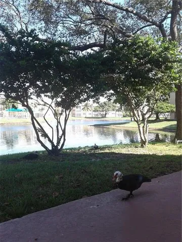 $1,300 | 5890 Northwest 64th Avenue, Unit 306, Fort Lauderdale, FL 33319