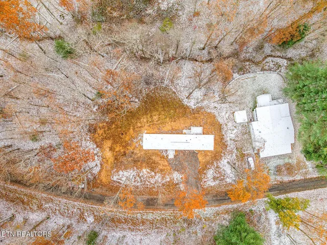 a view of a tree with a yard