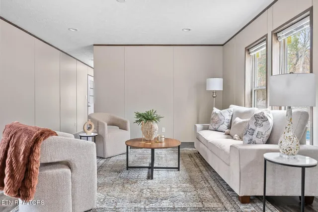 a living room with furniture and a potted plant