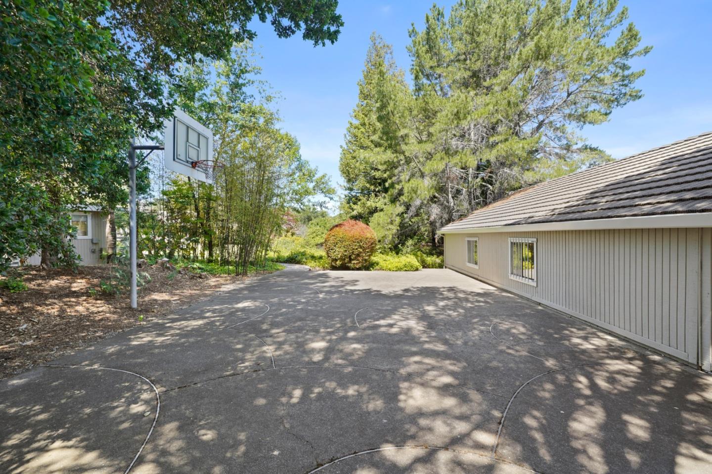 15 Debes Ranch Road San Rafael, CA 94903 - Photo 39 of 45 a view of a yard with plants and trees
