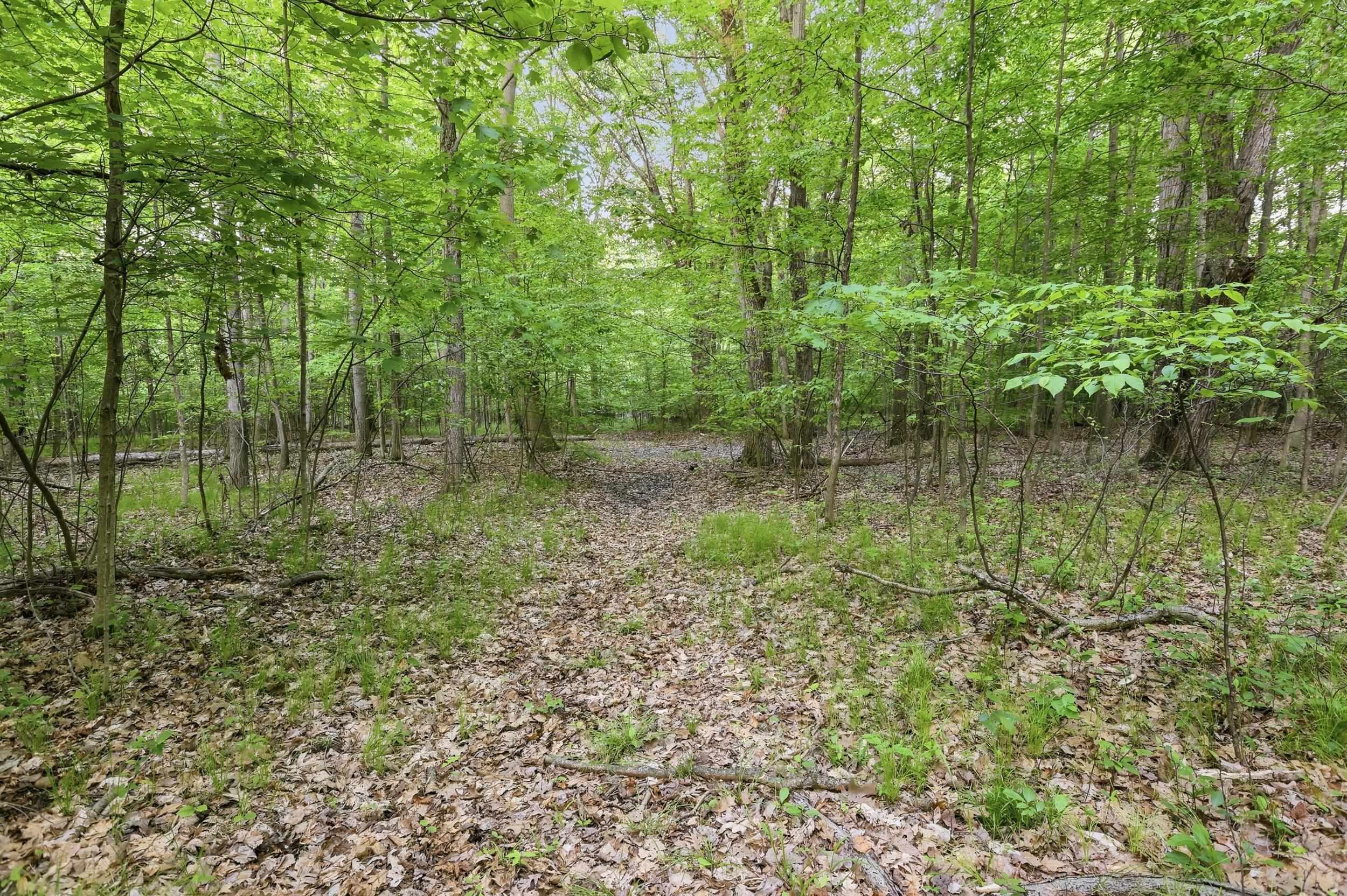 Vl South Chapin Road Elsie, MI 48831 - Photo 19 of 26