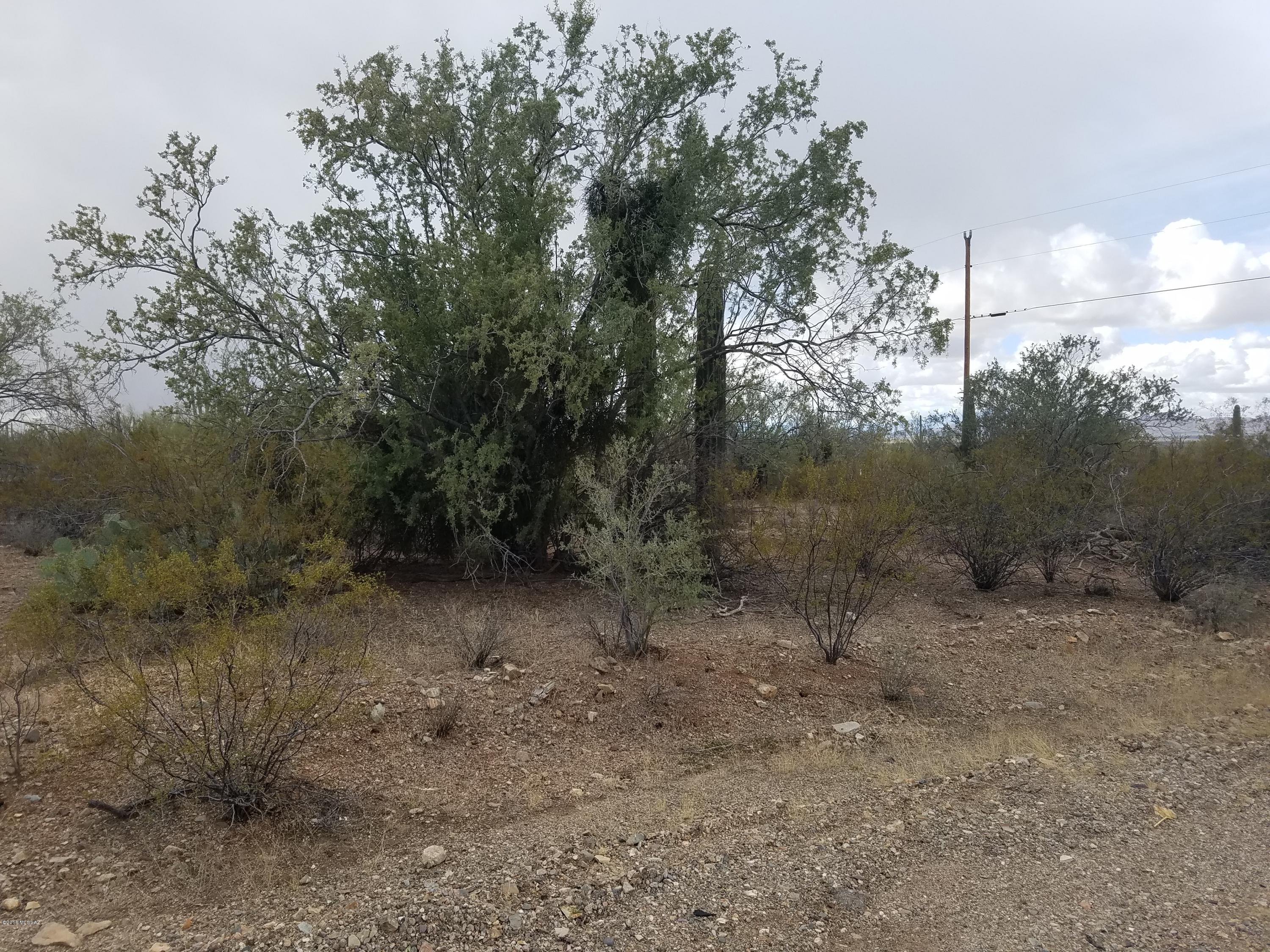 0 West Mile Wide Road Tucson, AZ 85743 - Photo 6 of 11