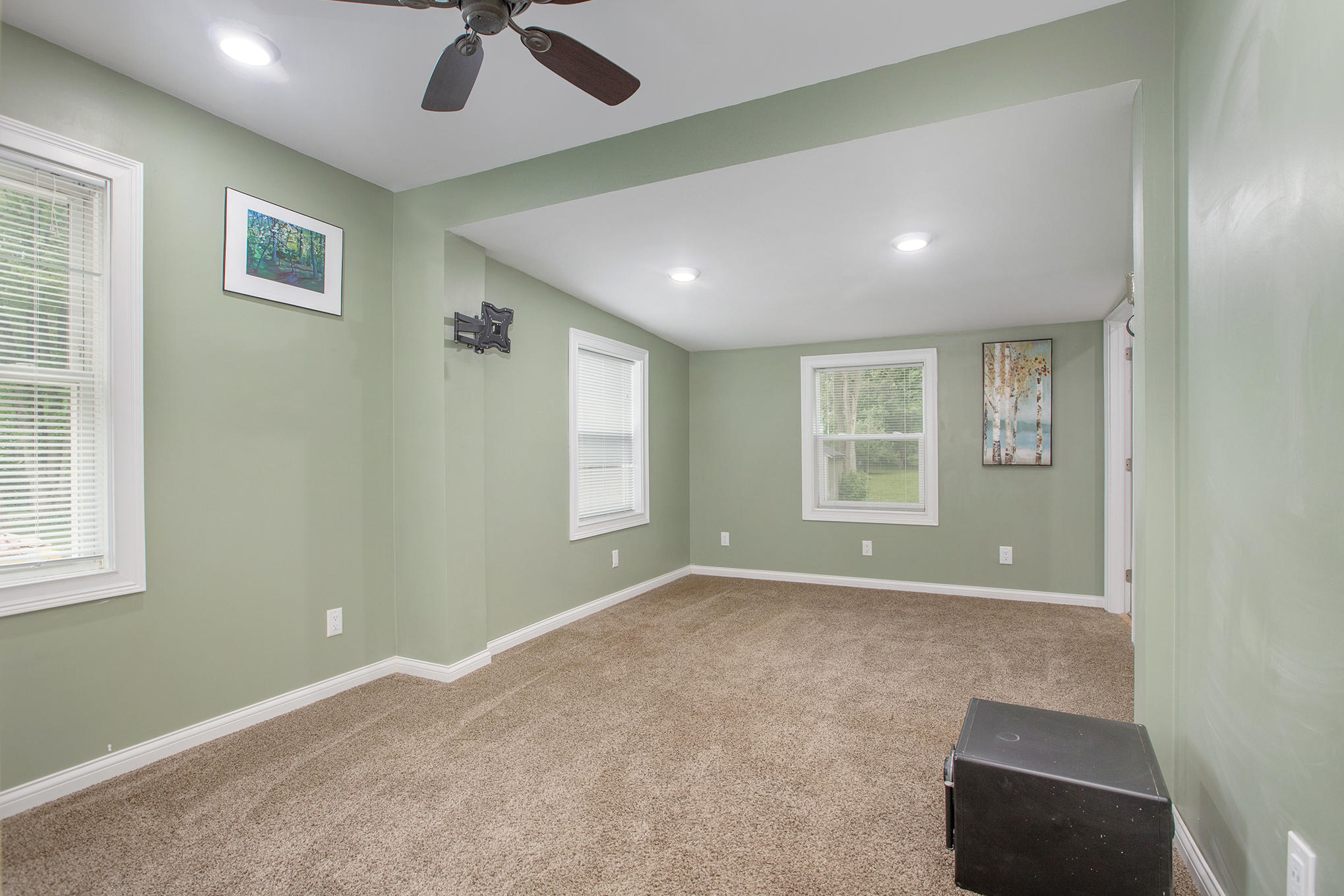 8078 Calvin Road Battle Creek, MI 49017 - Photo 11 of 20 NDP DNGs_163