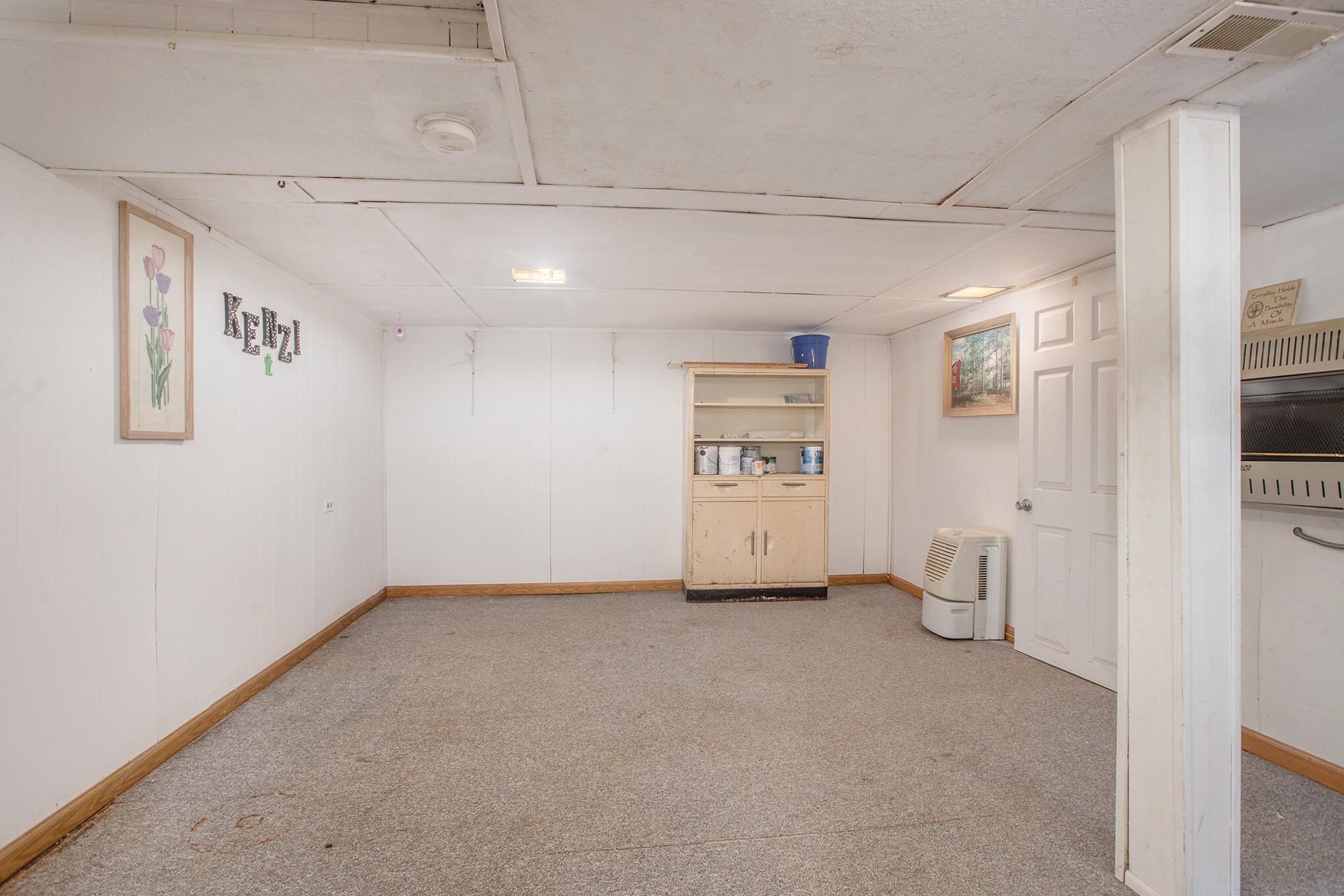 8078 Calvin Road Battle Creek, MI 49017 - Photo 19 of 20 NDP DNGs_179