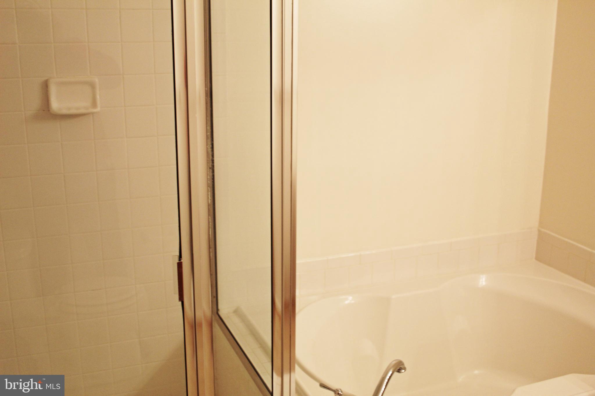 43497 Interval Street Chantilly, VA 20152 - Photo 16 of 19 BR#1 shower & tub