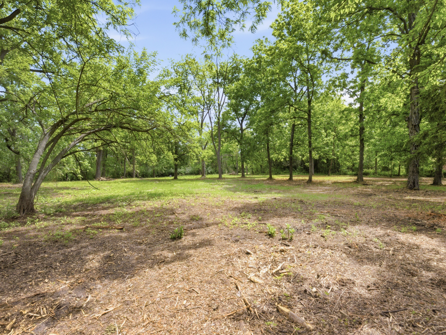 7N650 Sayer Road Bartlett, IL 60103 - Photo 7 of 13 a view of outdoor space with trees