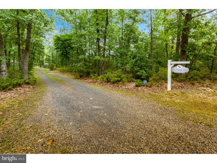 705 Sooy Place Road Vincentown, NJ 08088 - Photo 3 of 25 Driveway