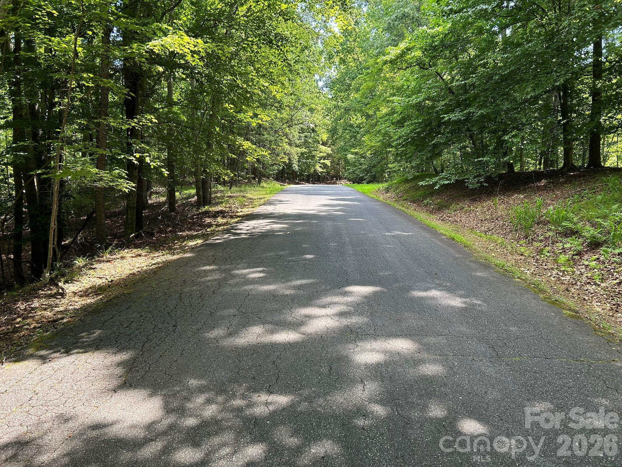0 Wilderness Ridge, Unit 4 Rutherfordton, NC 28139 - Photo 9 of 11