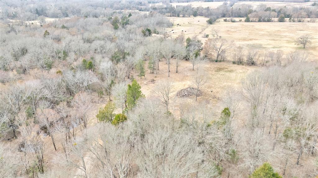 1411 Vz County Road 2139 Wills Point, TX 75169 - Photo 26 of 38