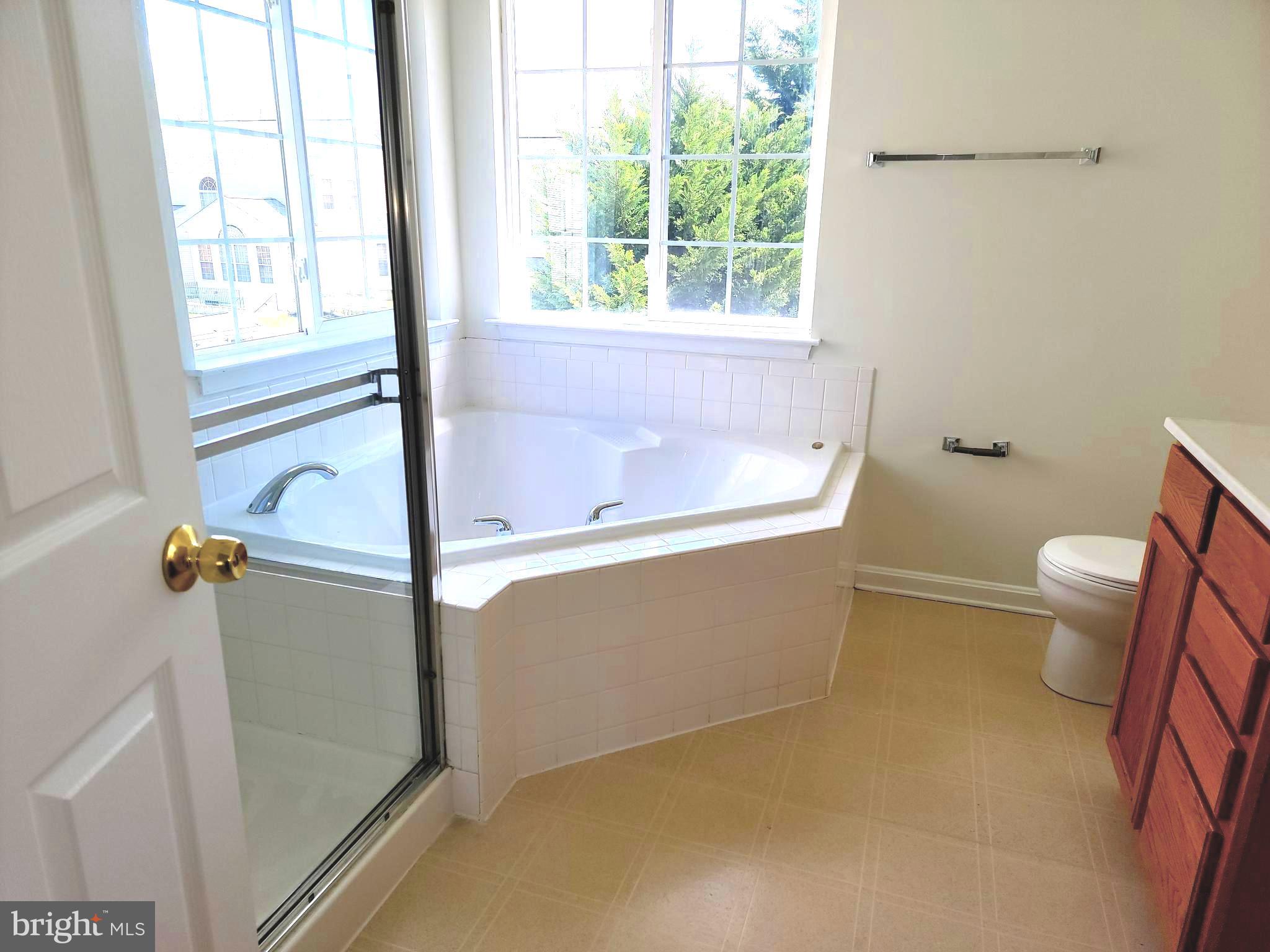 3437 Tewkesbury Road Abingdon, MD 21009 - Photo 22 of 38 SOAKING TUB AND SEPARATE WALK-IN SHOWER