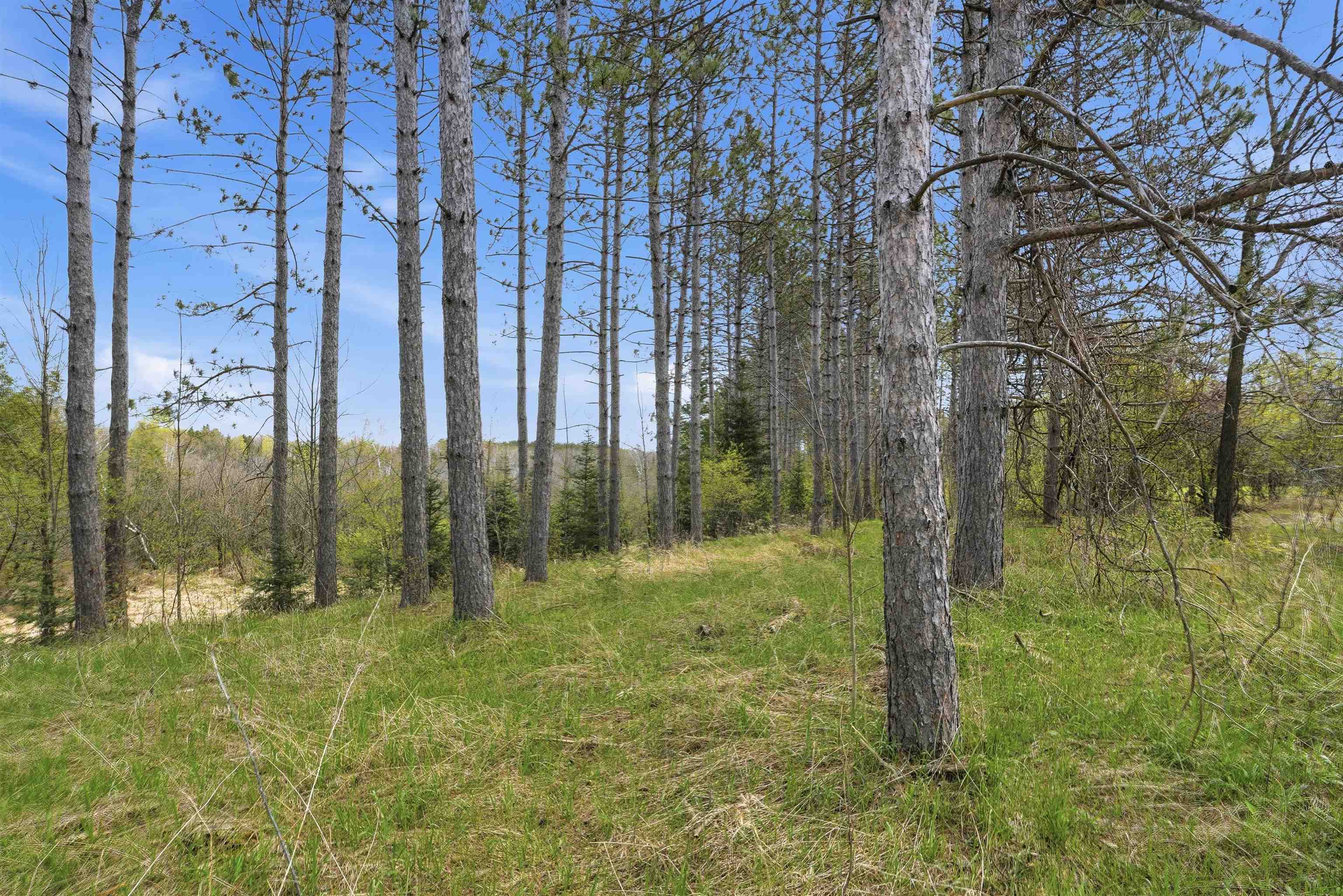 W2477 Bonde Avenue Rib Lake, WI 54470 - Photo 14 of 14