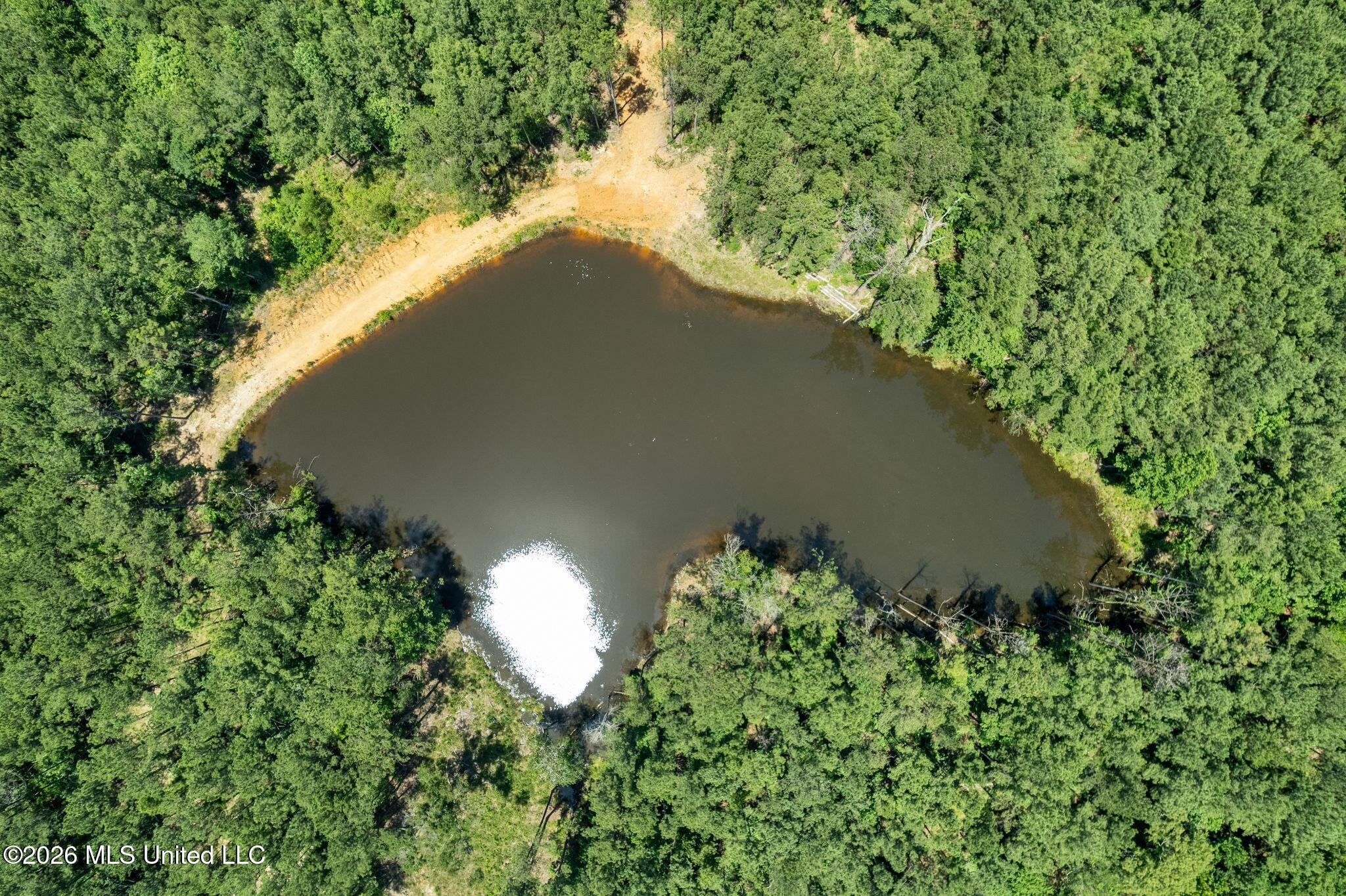 313 Spur Line Road Ellisville, MS 39437 - Photo 24 of 34 313_Spurline-24
