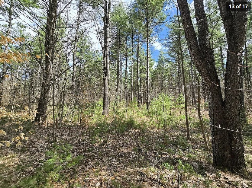 13612 Lewisburg Road Natural Bridge, NY 13665 - Photo 9 of 17 Gallery Image 9