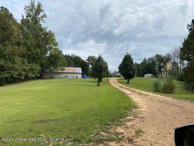 2036 Dodson Road Winfield, AL 35594 - Photo 11 of 37 Gallery Image 11