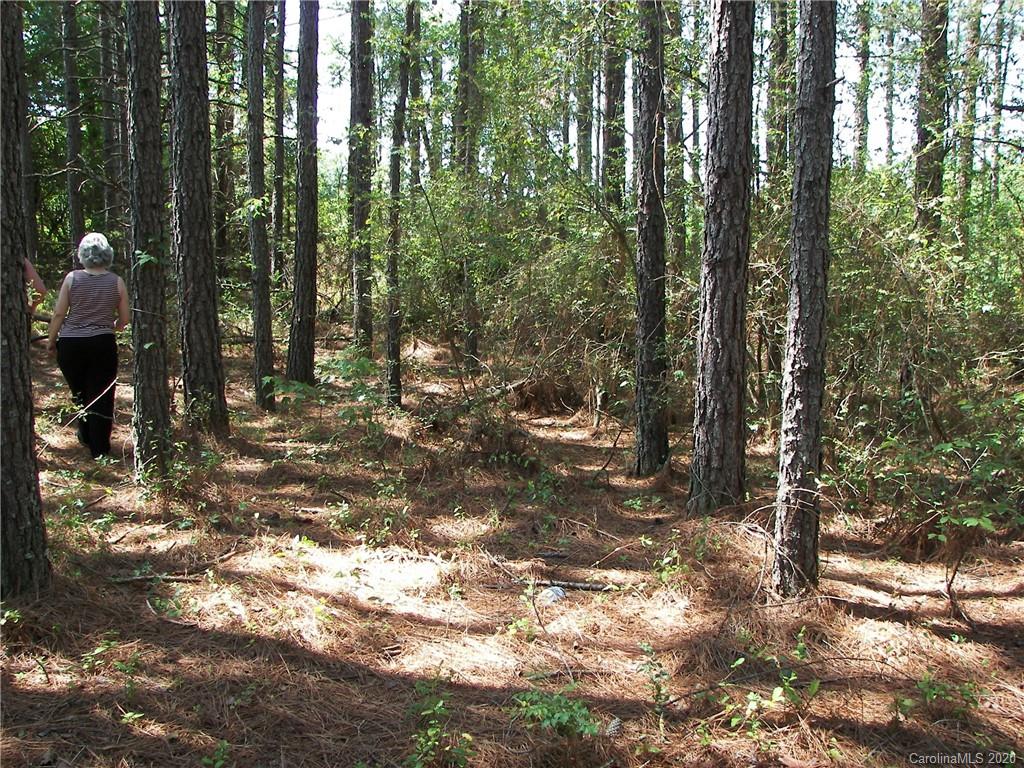 Lot 18 Brooks Road Bostic, NC 28018 - Photo 14 of 19