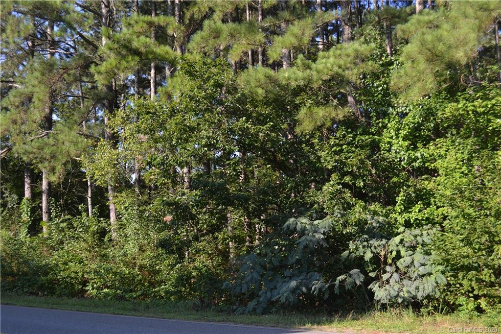 Lot 18 Brooks Road Bostic, NC 28018 - Photo 3 of 19