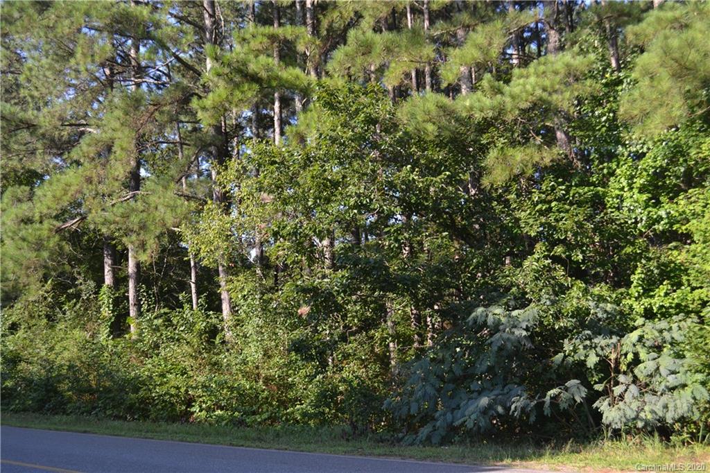 Lot 18 Brooks Road Bostic, NC 28018 - Photo 8 of 19
