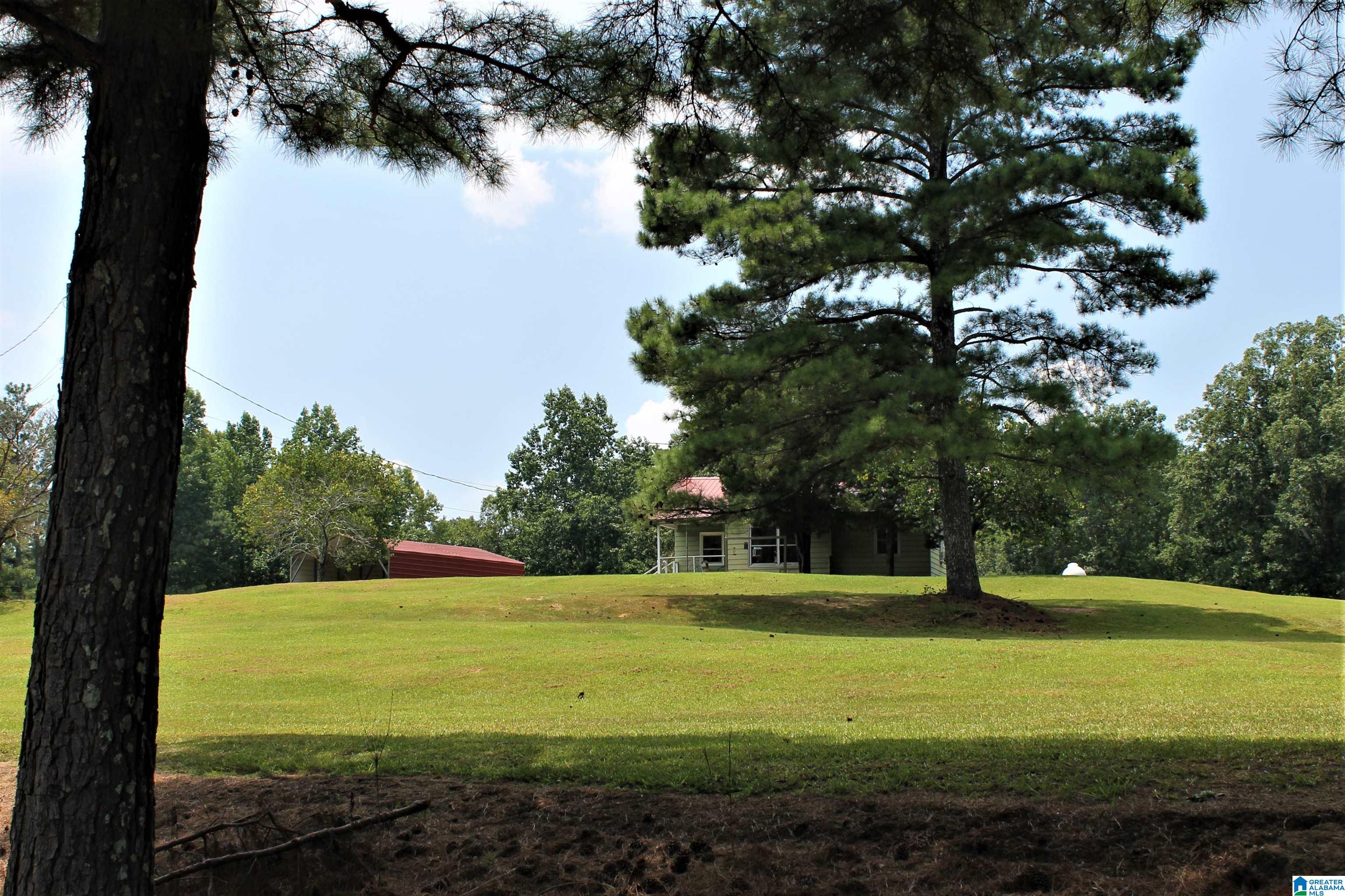 9446 Tingle Cutoff Road Dora, AL 35062 - Photo 39 of 43 Gallery Image 39