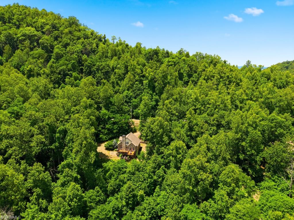 255 Treadway Ridge Road Moravian Falls, NC 28654 - Photo 50 of 50