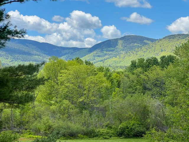 $370,000 | 19 Hill North Vale Lane, Unit 19, Bartlett, NH 03845