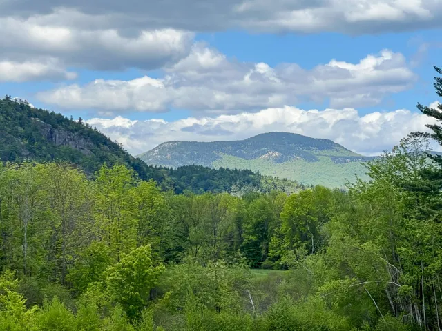 $370,000 | 19 Hill North Vale Lane, Unit 19, Bartlett, NH 03845