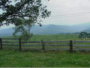 1747 Conklin Road Limestone, TN 37681 - Photo 6 of 6 Photo 6