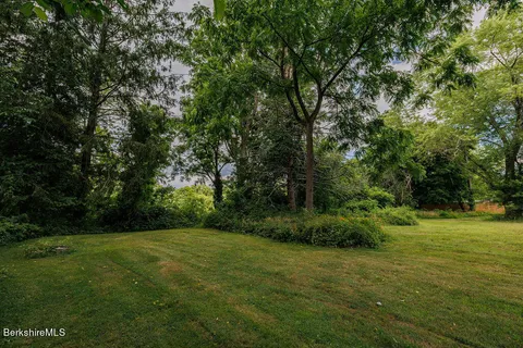 a view of a grassy field with trees