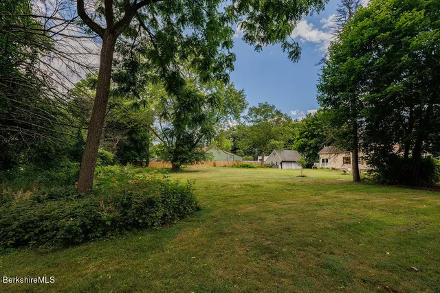 a view of outdoor space with trees all around