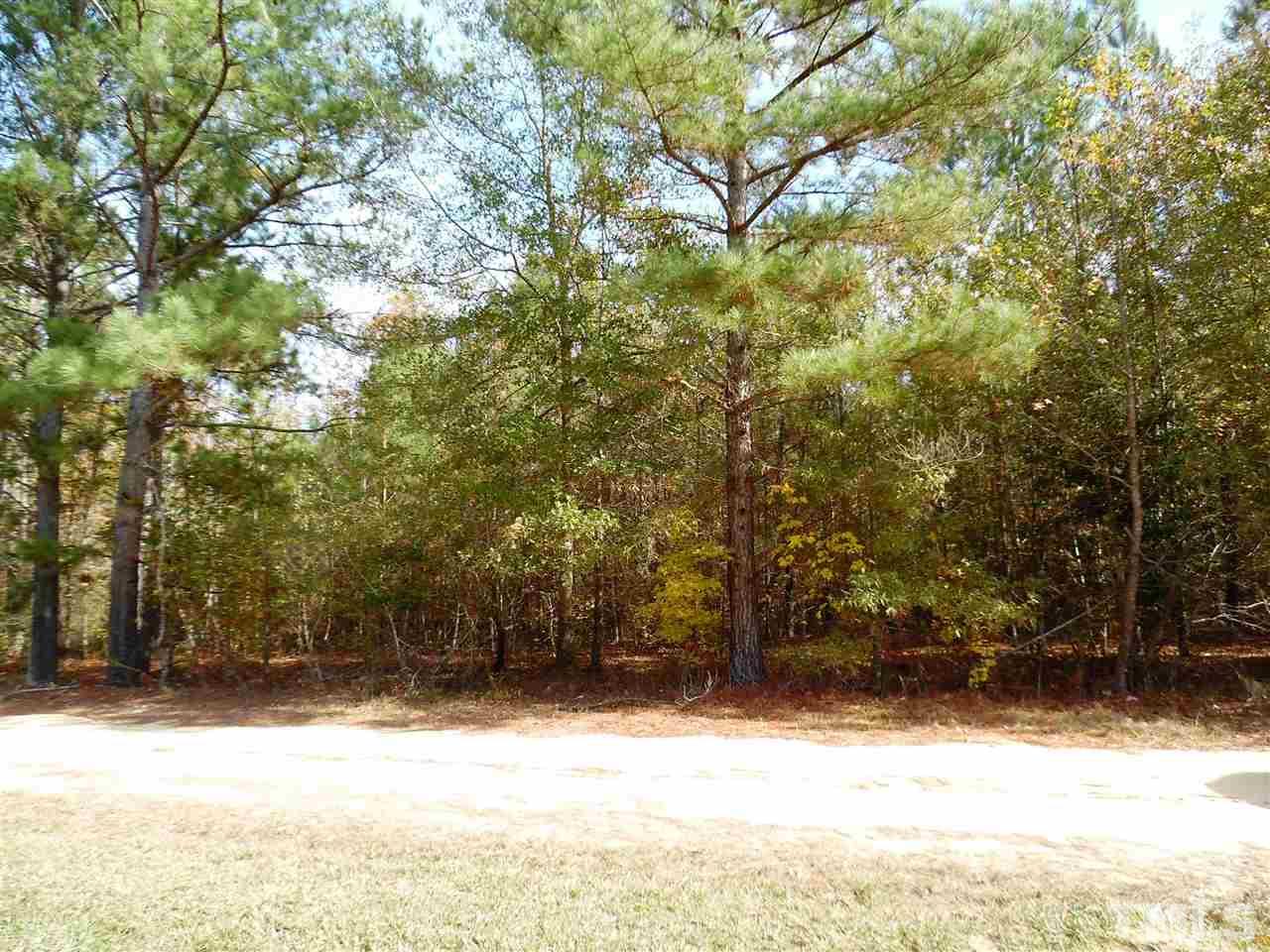 Tbd Lower River Road Broadway, NC 27505 - Photo 11 of 14 Gallery Image 11