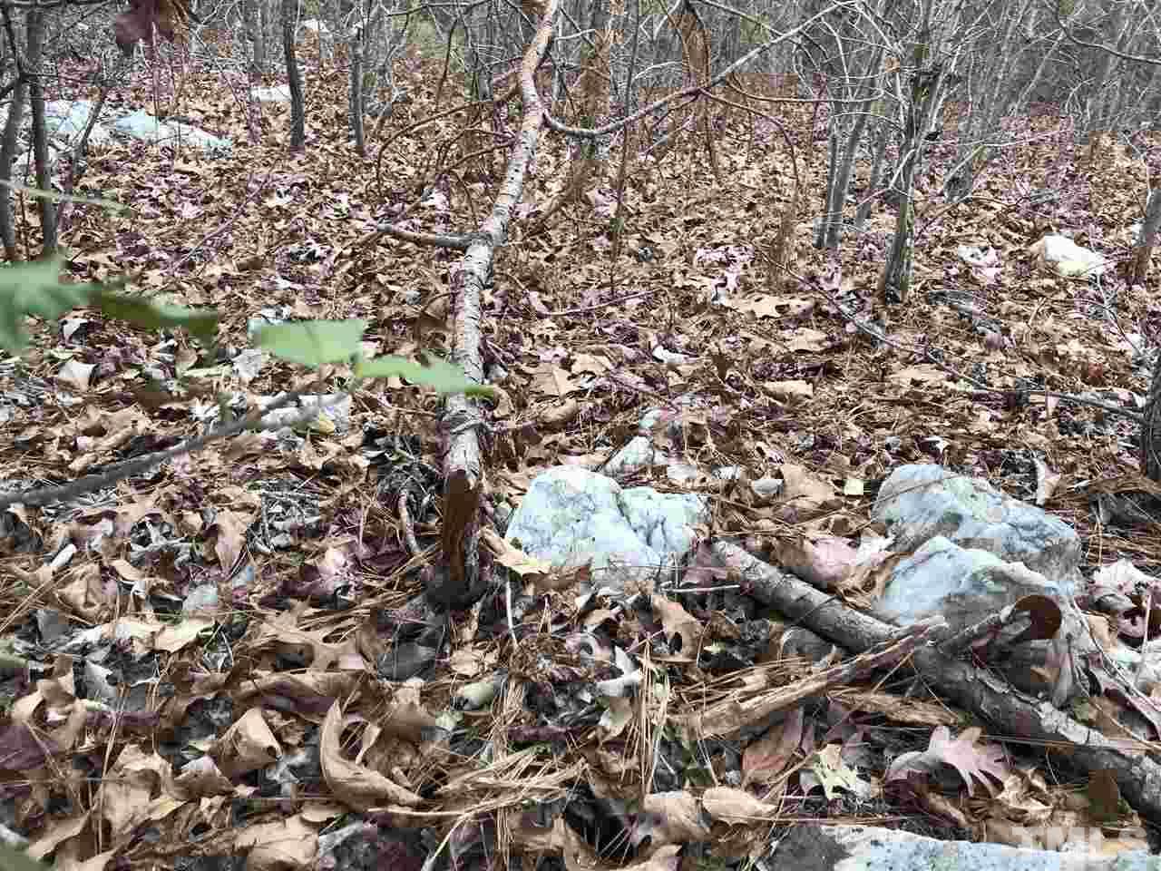 Tbd Lower River Road Broadway, NC 27505 - Photo 12 of 14 Gallery Image 12