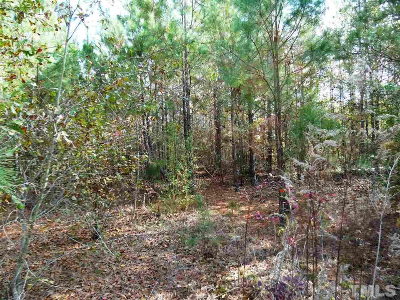 Tbd Lower River Road Broadway, NC 27505 - Photo 3 of 14 Gallery Image 3