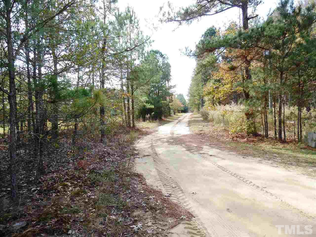 Tbd Lower River Road Broadway, NC 27505 - Photo 5 of 14 Gallery Image 5