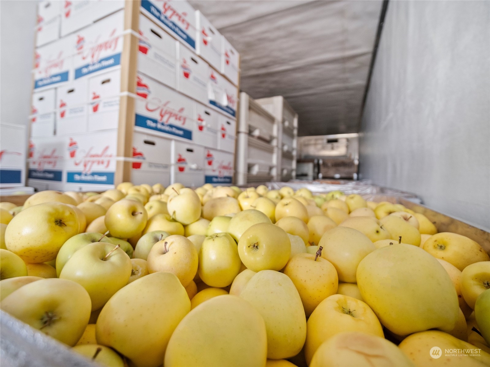 3710 Stayman Flats Road Chelan, WA 98816 - Photo 14 of 40 a blue painted wall with a large window