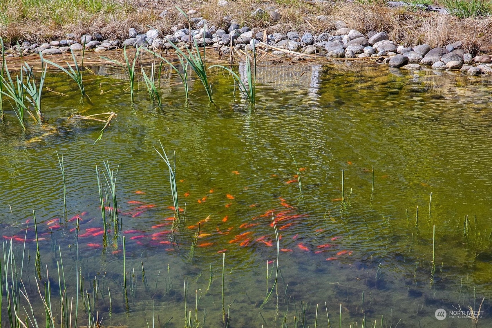 3710 Stayman Flats Road Chelan, WA 98816 - Photo 21 of 40