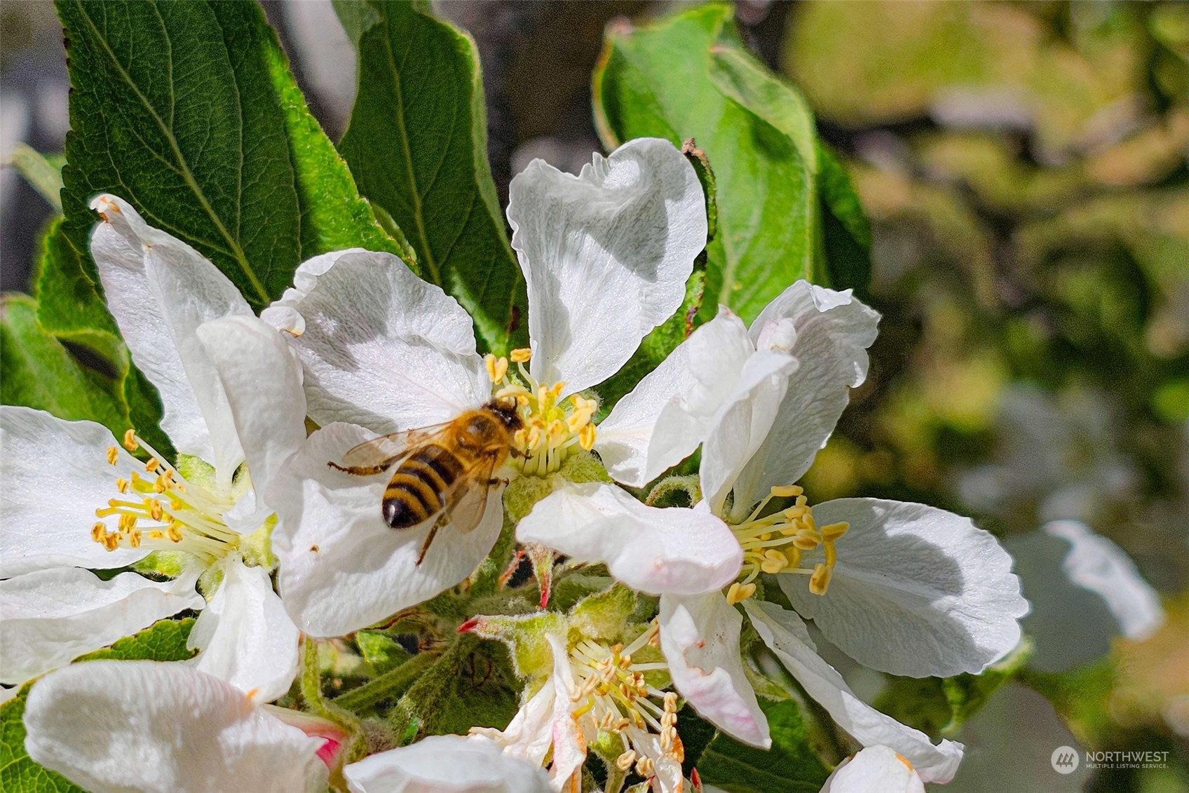 3710 Stayman Flats Road Chelan, WA 98816 - Photo 26 of 40