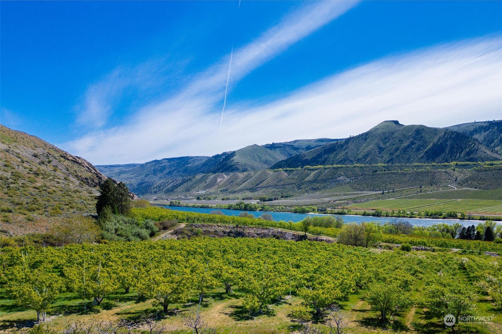 3710 Stayman Flats Road Chelan, WA 98816 - Photo 32 of 40 a view of a lush green field with mountains in the background