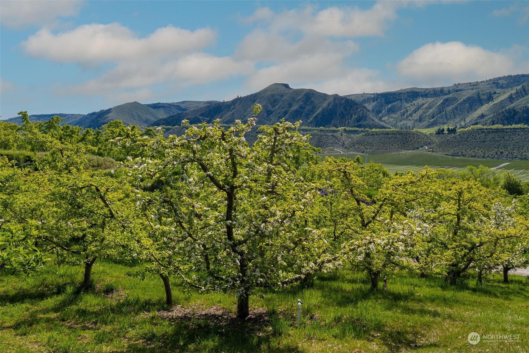 3710 Stayman Flats Road Chelan, WA 98816 - Photo 38 of 40 a view of a lake with a mountain in the background