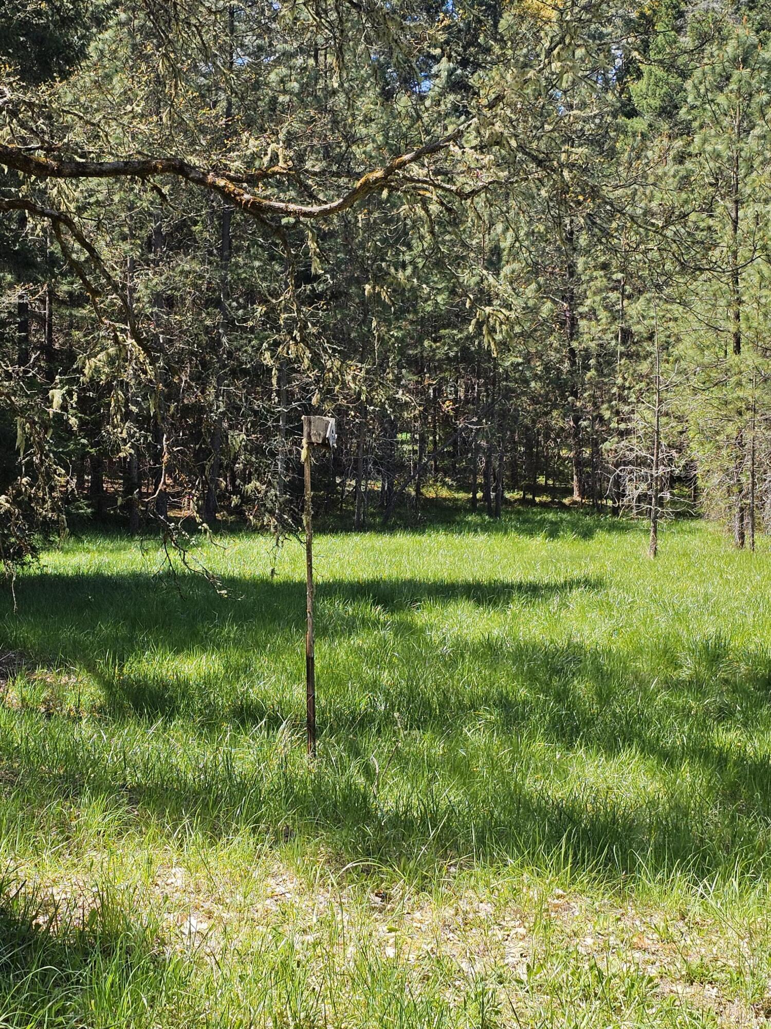 Marcy Loop Road, Unit 1001 Grants Pass, OR 97527 - Photo 11 of 22 1000007285