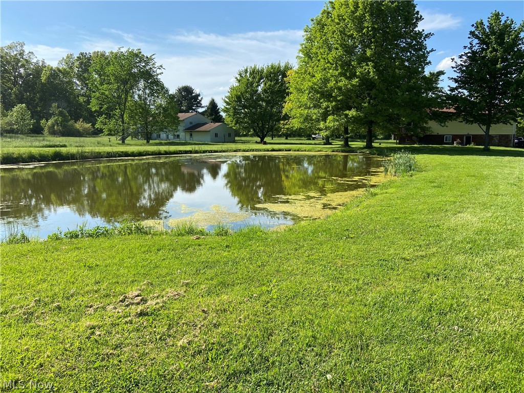 8898 Dunham Road Litchfield, OH 44253 - Photo 13 of 29 Gallery Image 13