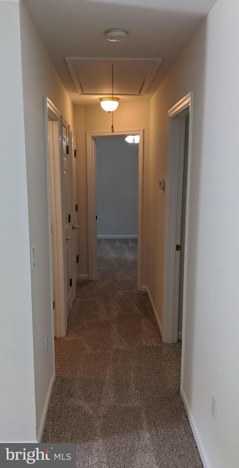 130 Taylor Road Centreville, MD 21617 - Photo 12 of 39 HALLWAY LEADING TO BATH/BEDROOMS