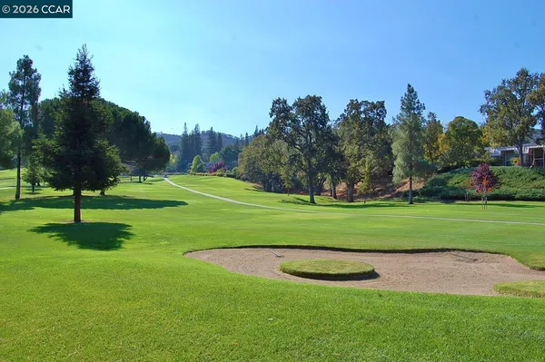 a view of a park and trees