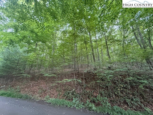 Lot 29 Winter Street Jefferson, NC 28640 - Photo 12 of 13 a view of a forest with trees in the background